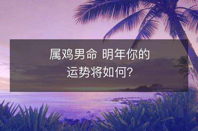 属鸡男命 明年你的运势将如何？