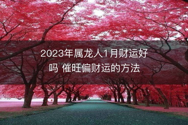 2023年属龙人1月财运好吗 催旺偏财运的方法