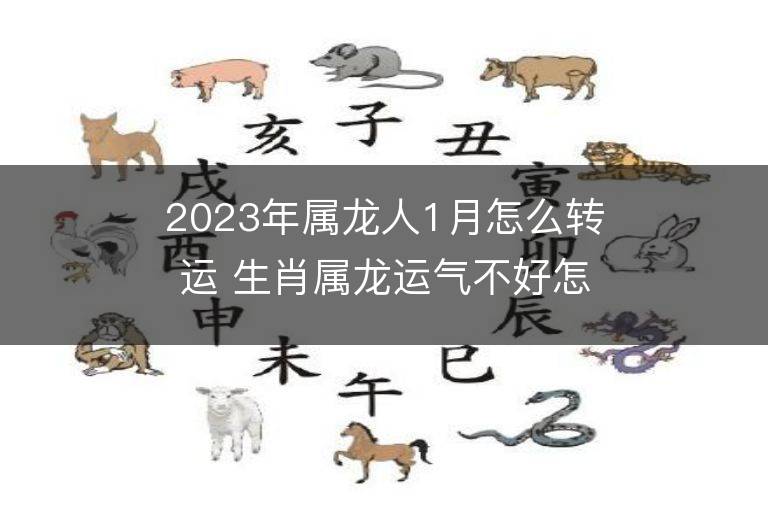 2023年属龙人1月怎么转运 生肖属龙运气不好怎么转运