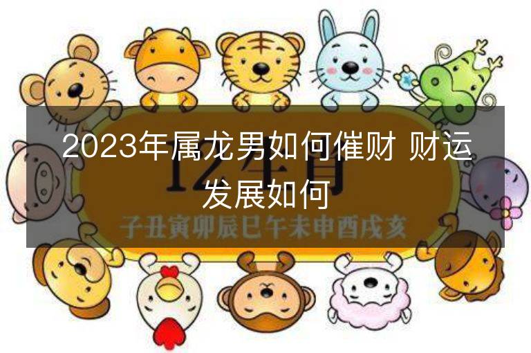 2023年属龙男如何催财 财运发展如何