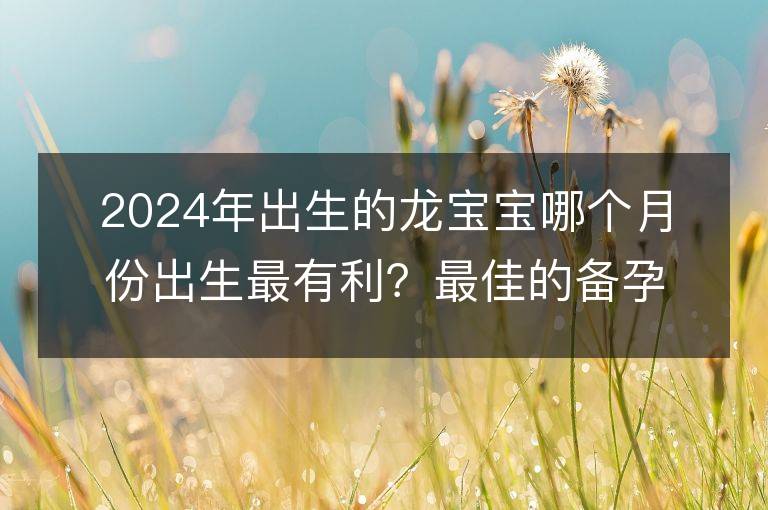 2024年出生的龙宝宝哪个月份出生最有利？最佳的备孕时间是在哪个月份？