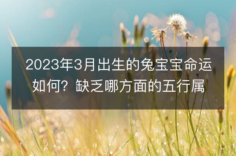 2023年3月出生的兔宝宝命运如何？缺乏哪方面的五行属性？