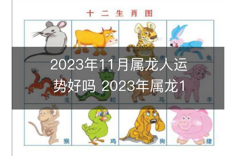 2023年11月属龙人运势好吗 2023年属龙11月运程如何