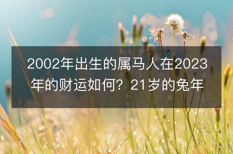 2002年出生的属马人在2023年的财运如何？21岁的兔年对他们的财气是否有影响？