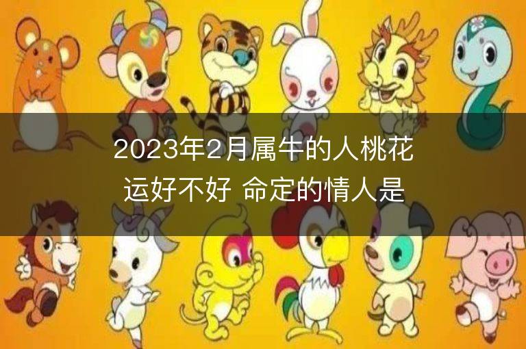 2023年2月属牛的人桃花运好不好 命定的情人是谁