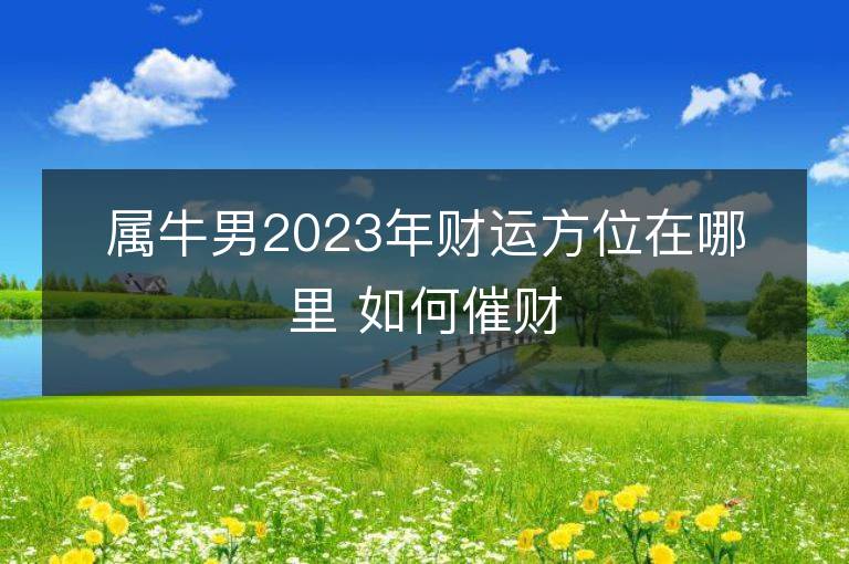 屬牛男2023年財運方位在哪裡 如何催財