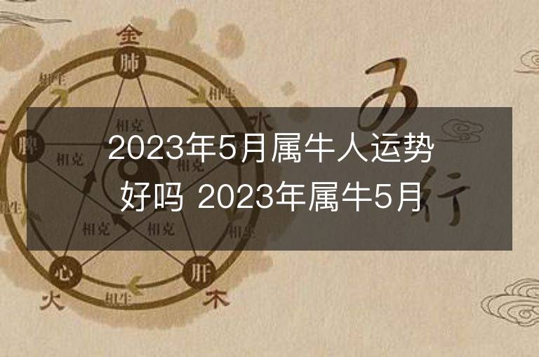 2023年5月属牛人运势好吗 2023年属牛5月运程如何