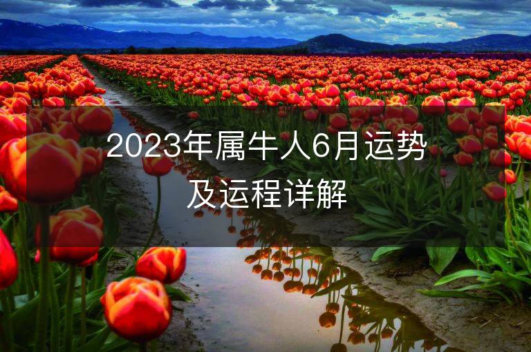 2023年属牛人6月运势及运程详解