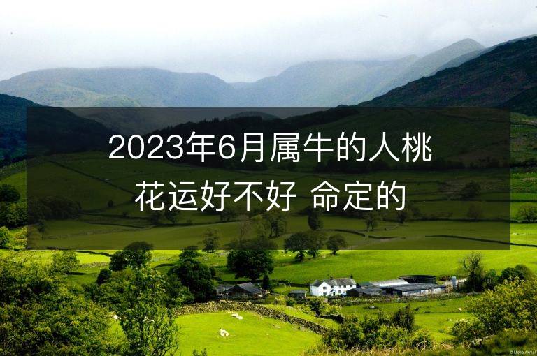 2023年6月属牛的人桃花运好不好 命定的情人是谁