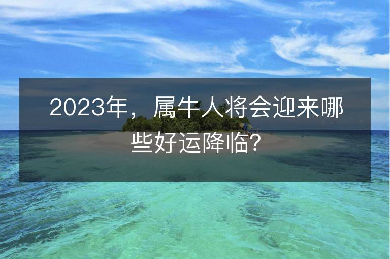 2023年，属牛人将会迎来哪些好运降临？