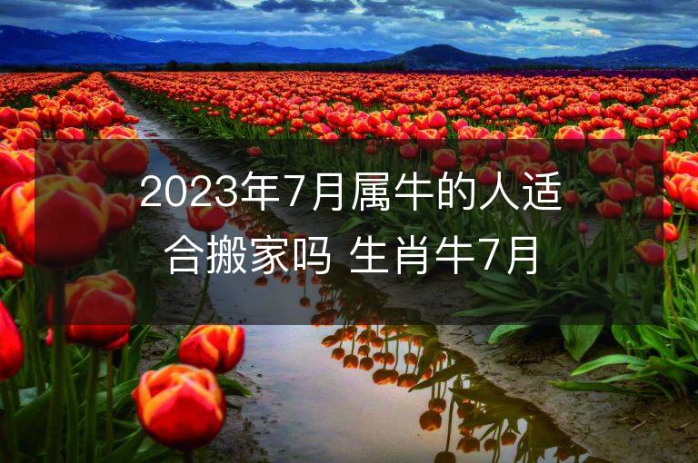 2023年7月属牛的人适合搬家吗 生肖牛7月搬迁好不好