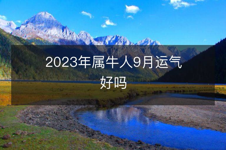 2023年属牛人9月运气好吗