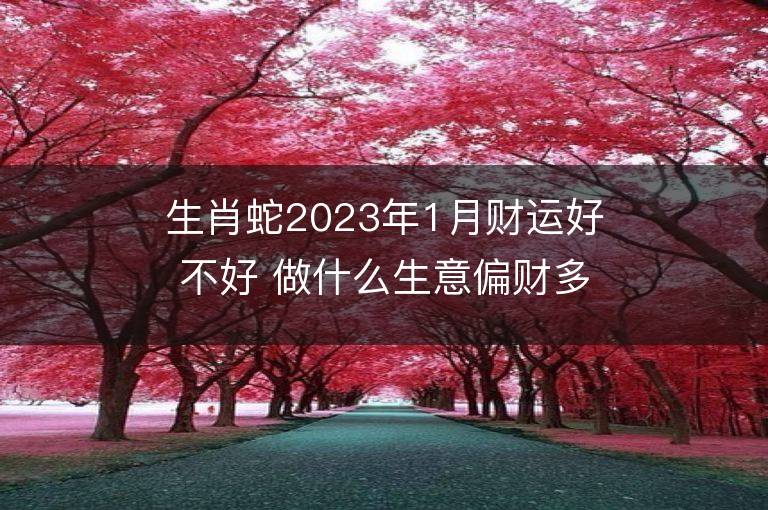 生肖蛇2023年1月财运好不好 做什么生意偏财多正财旺