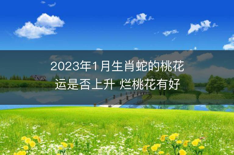 2023年1月生肖蛇的桃花运是否上升 烂桃花有好转吗