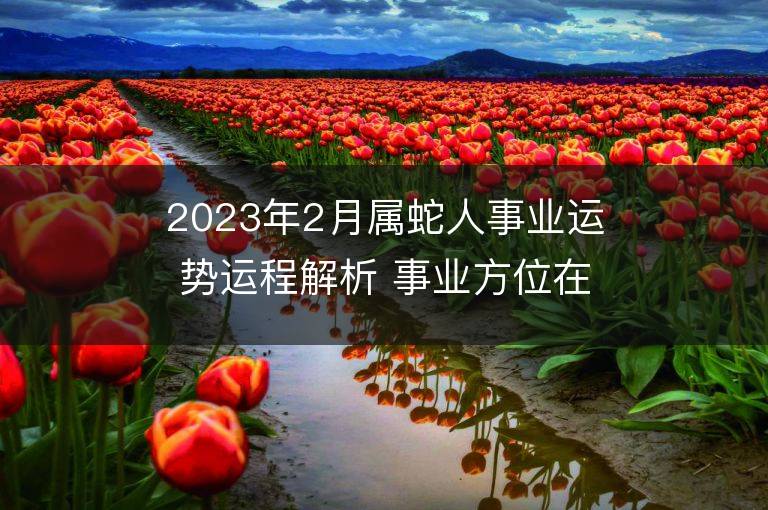 2023年2月属蛇人事业运势运程解析 事业方位在哪里