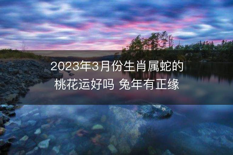 2023年3月份生肖属蛇的桃花运好吗 兔年有正缘还是孽缘