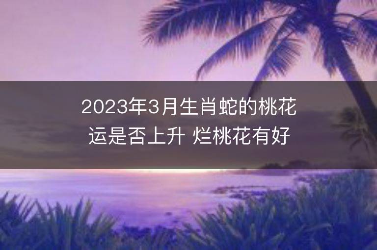 2023年3月生肖蛇的桃花运是否上升 烂桃花有好转吗