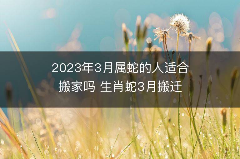 2023年3月属蛇的人适合搬家吗 生肖蛇3月搬迁好不好