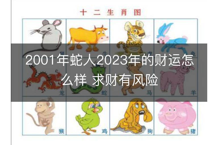 2001年蛇人2023年的财运怎么样 求财有风险