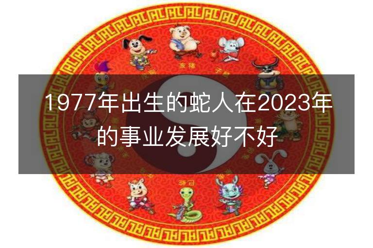 1977年出生的蛇人在2023年的事业发展好不好