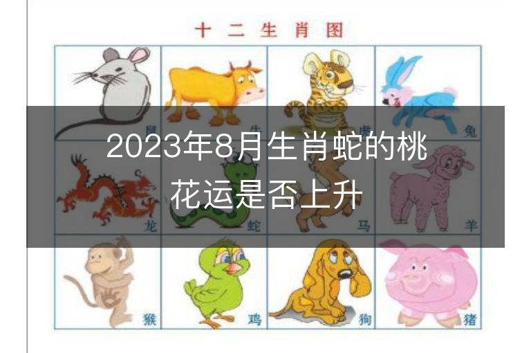 2023年8月生肖蛇的桃花运是否上升