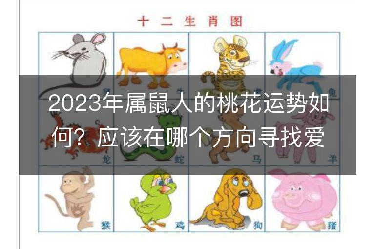 2023年属鼠人的桃花运势如何？应该在哪个方向寻找爱情？