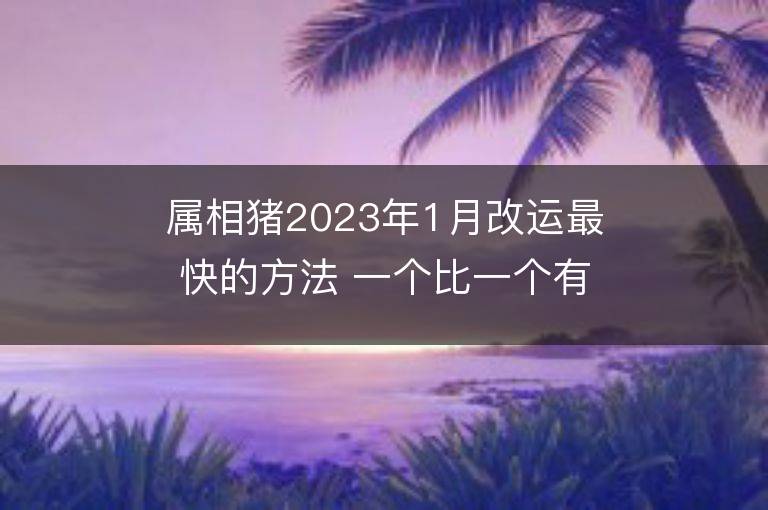 属相猪2023年1月改运最快的方法 一个比一个有效