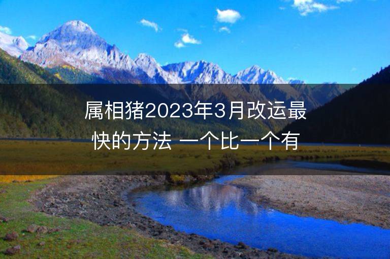 属相猪2023年3月改运最快的方法 一个比一个有效