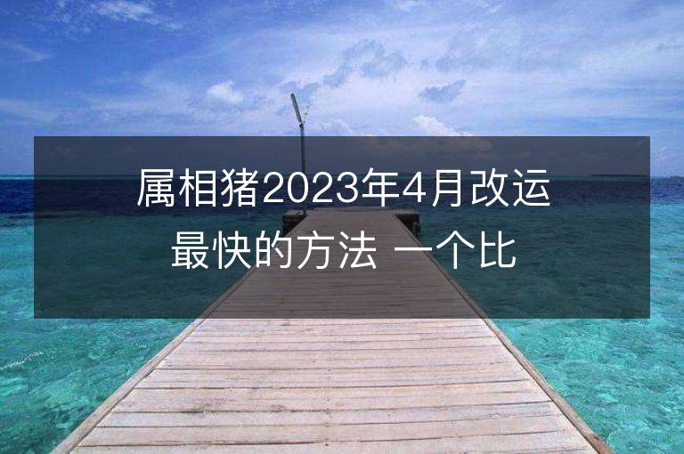 属相猪2023年4月改运最快的方法 一个比一个有效