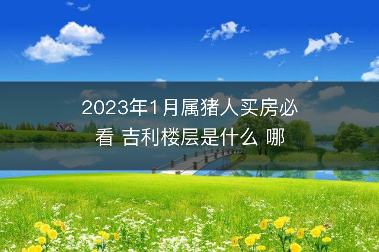 2023年1月属猪人买房必看 吉利楼层是什么 哪个方向最旺