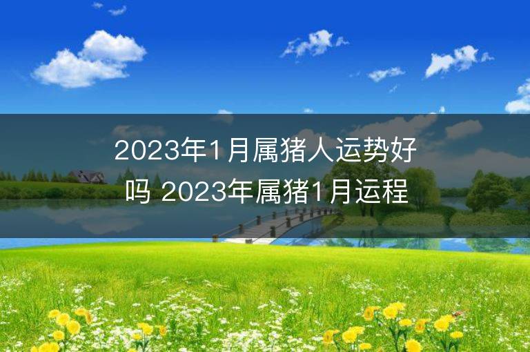 2023年1月属猪人运势好吗 2023年属猪1月运程如何