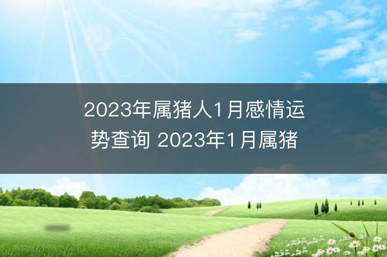 2023年属猪人1月感情运势查询 2023年1月属猪爱情运程详解