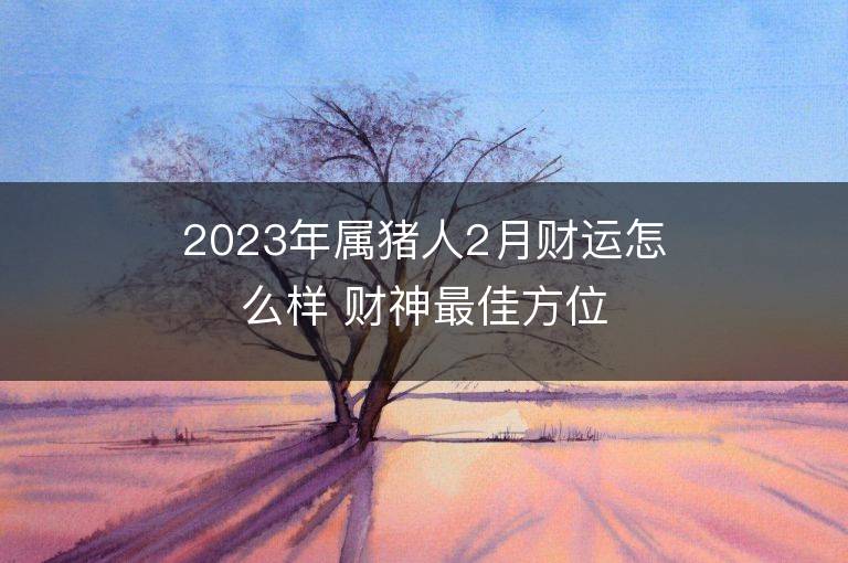 2023年属猪人2月财运怎么样 财神最佳方位