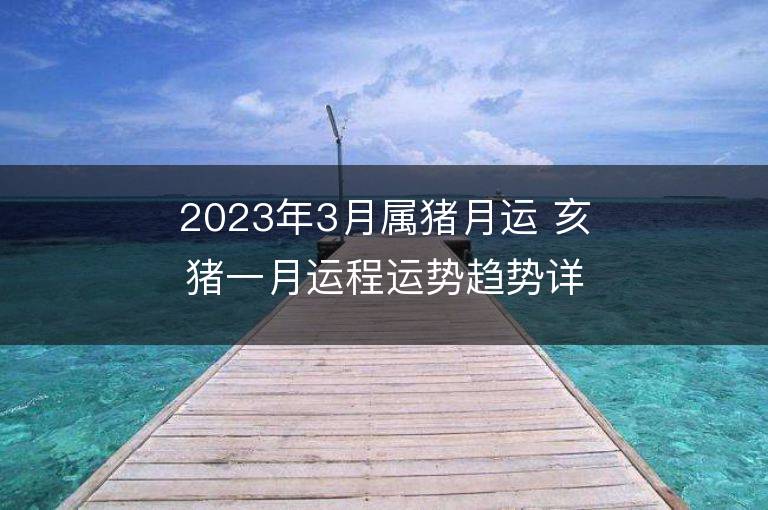 2023年3月属猪月运 亥猪一月运程运势趋势详解