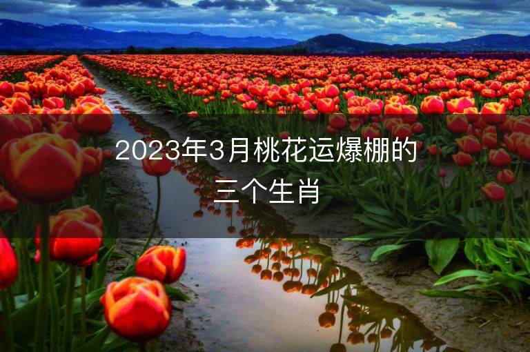 2023年3月桃花运爆棚的三个生肖