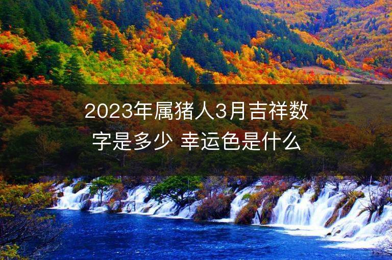 2023年属猪人3月吉祥数字是多少 幸运色是什么