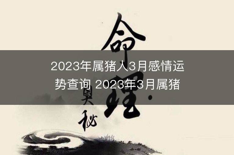 2023年属猪人3月感情运势查询 2023年3月属猪爱情运程详解