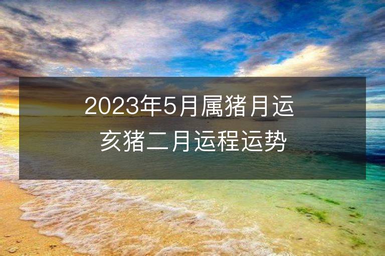 2023年5月属猪月运 亥猪二月运程运势趋势详解