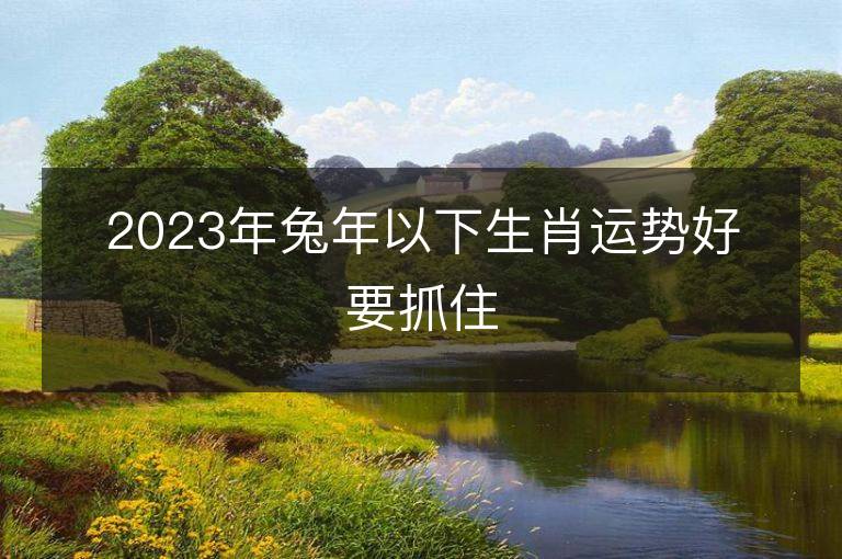 2023年兔年以下生肖运势好要抓住