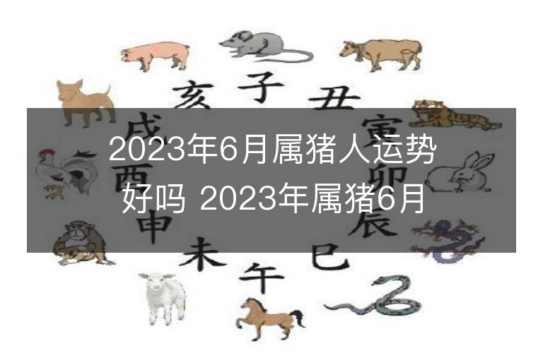 2023年6月属猪人运势好吗 2023年属猪6月运程如何