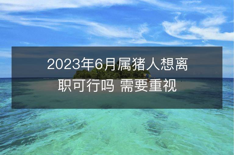 2023年6月属猪人想离职可行吗 需要重视哪些问题