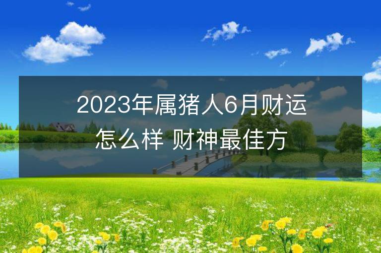 2023年属猪人6月财运怎么样 财神最佳方位