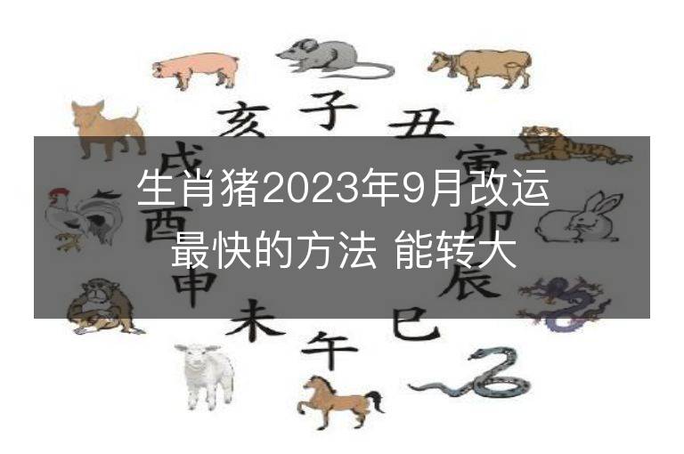 生肖猪2023年9月改运最快的方法 能转大运吗