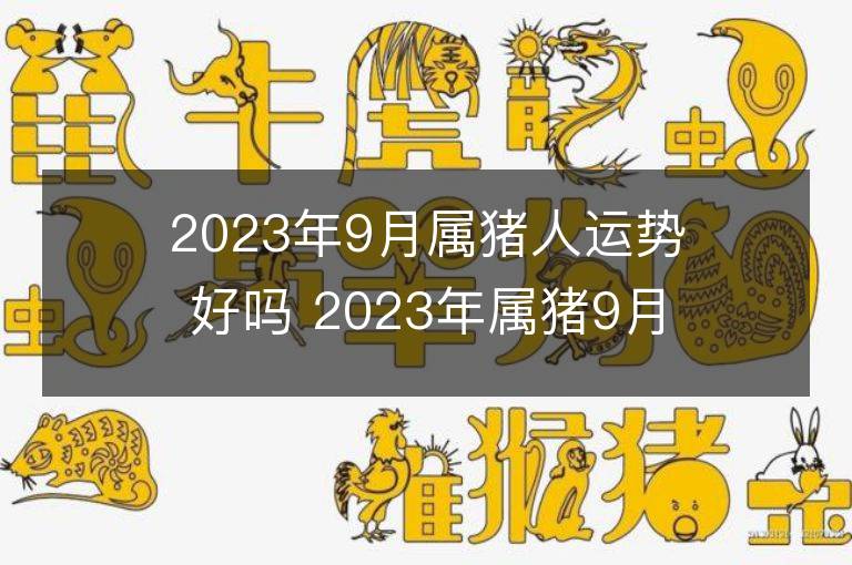 2023年9月属猪人运势好吗 2023年属猪9月运程如何