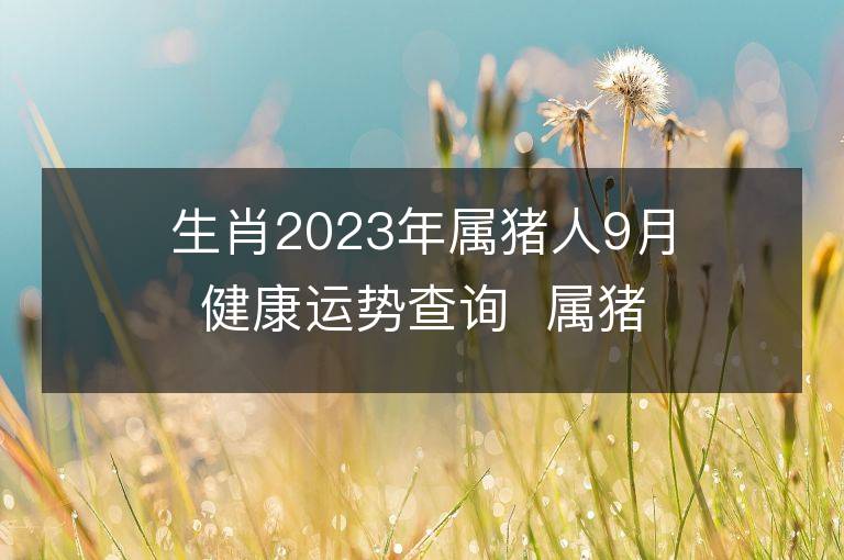 生肖2023年属猪人9月健康运势查询  属猪的人来看看！