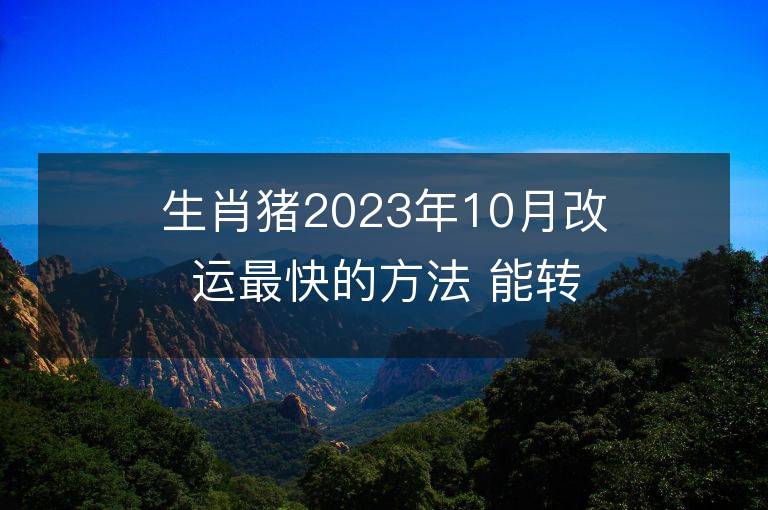 生肖猪2023年10月改运最快的方法 能转大运吗