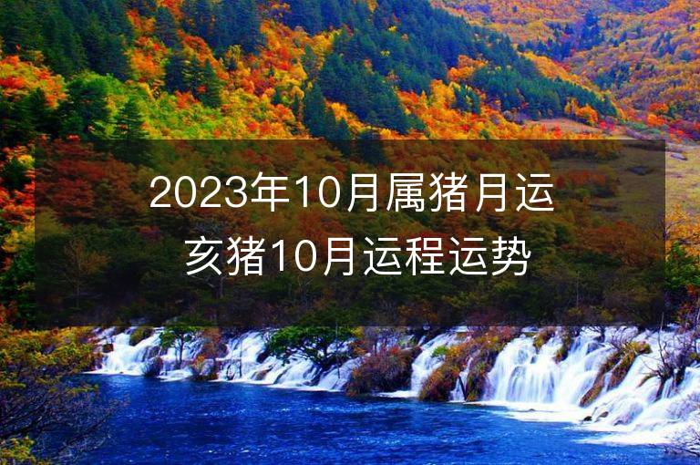 2023年10月属猪月运 亥猪10月运程运势趋势详解