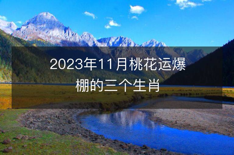 2023年11月桃花运爆棚的三个生肖