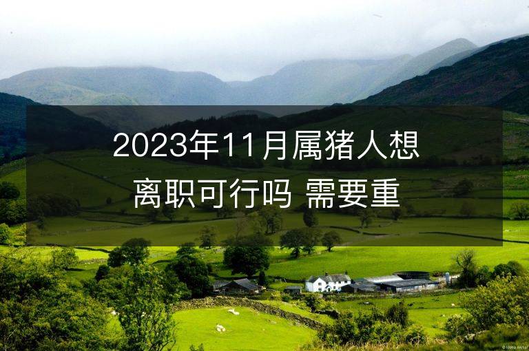 2023年11月属猪人想离职可行吗 需要重视哪些问题