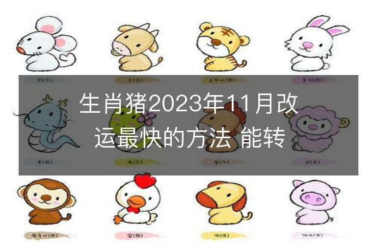 生肖猪2023年11月改运最快的方法 能转大运吗